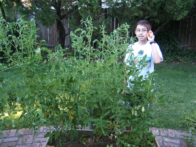 Garden.JPG