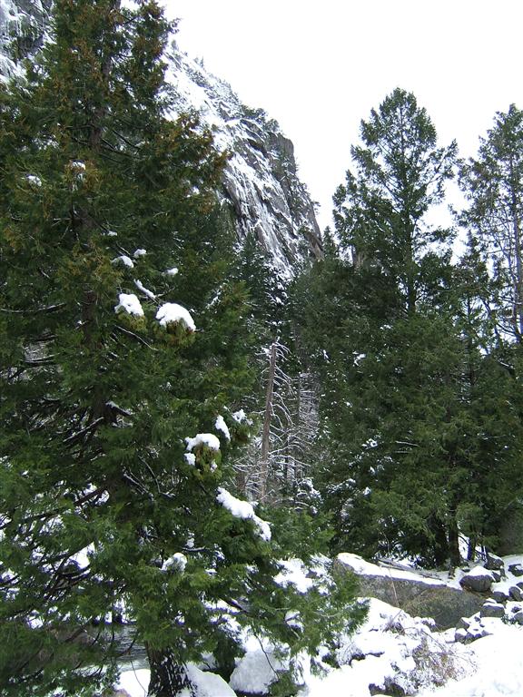 Yosemite-004.jpg