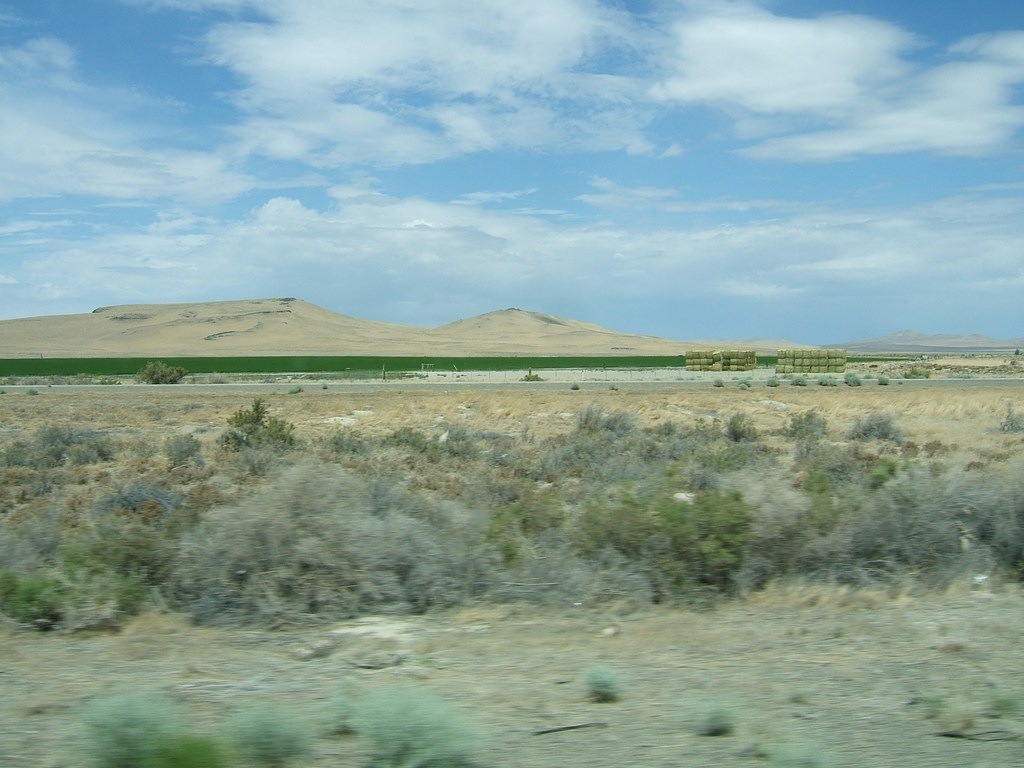 004Nevada.jpg