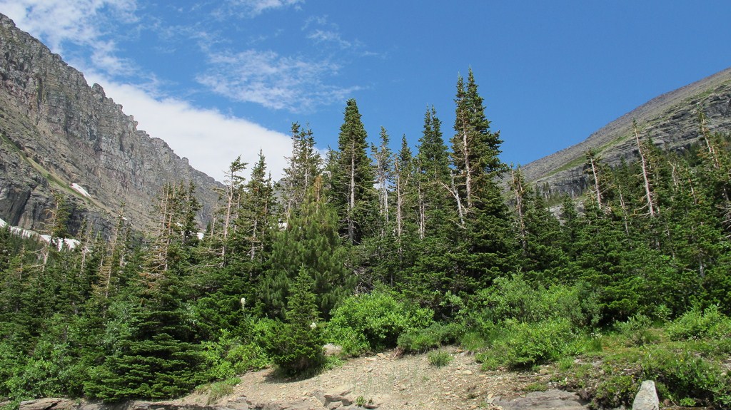 GlacierPark051.jpg