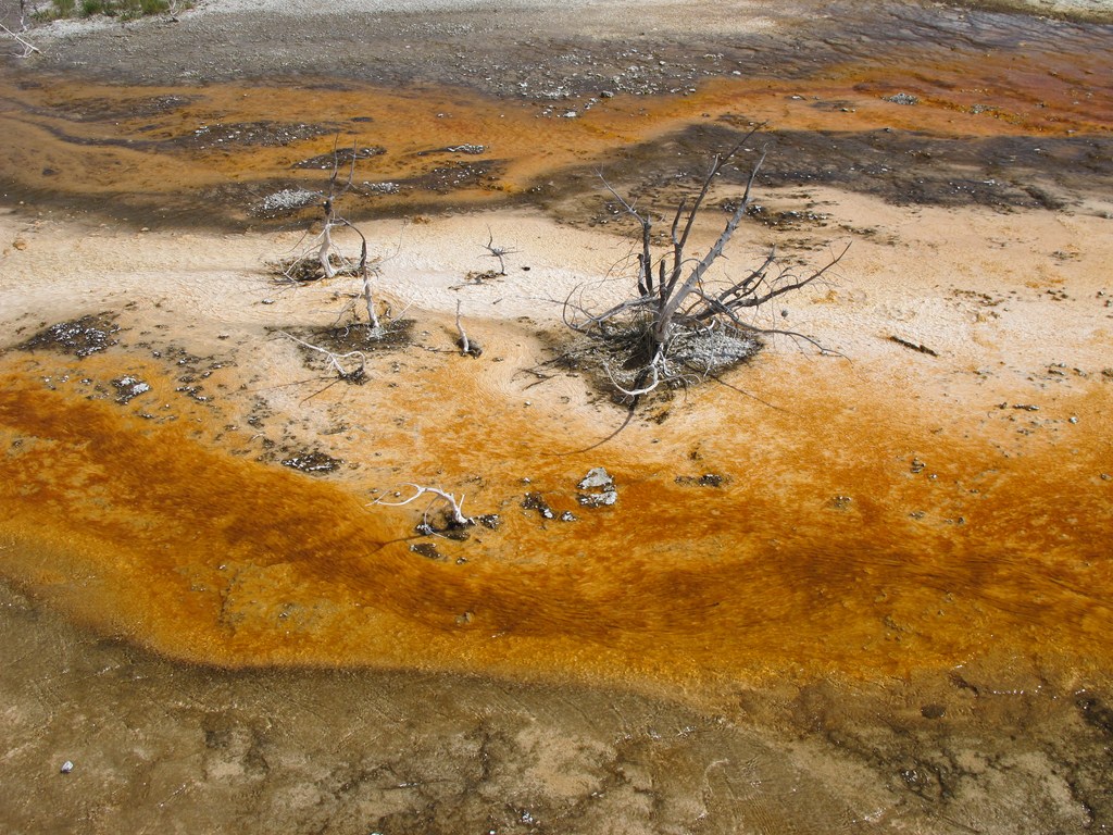 Yellowstone026.jpg