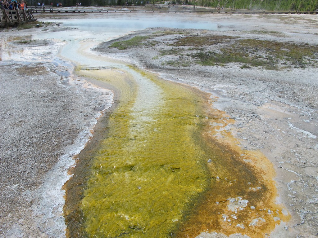 Yellowstone028.jpg