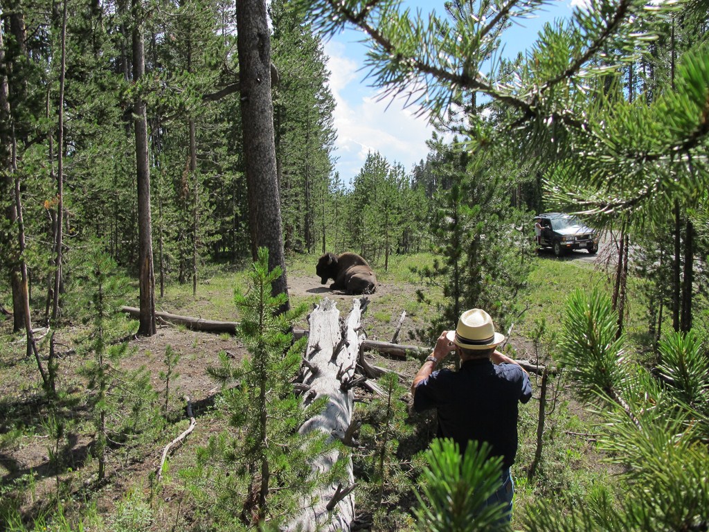 Yellowstone038.jpg