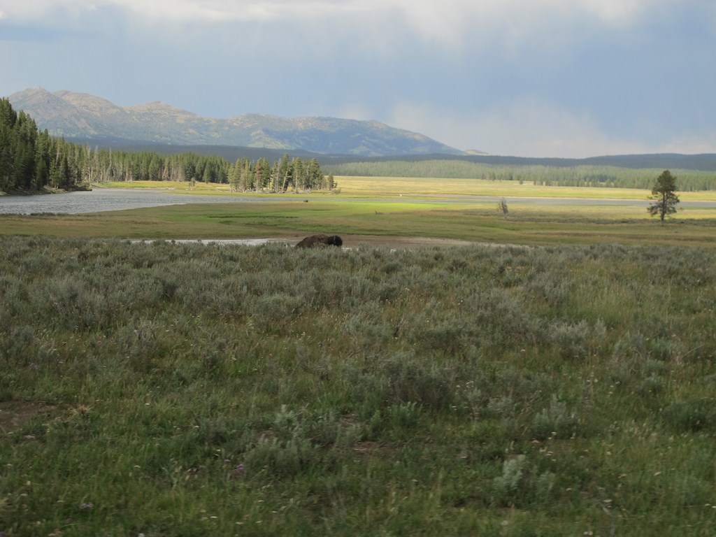 Yellowstone042.jpg