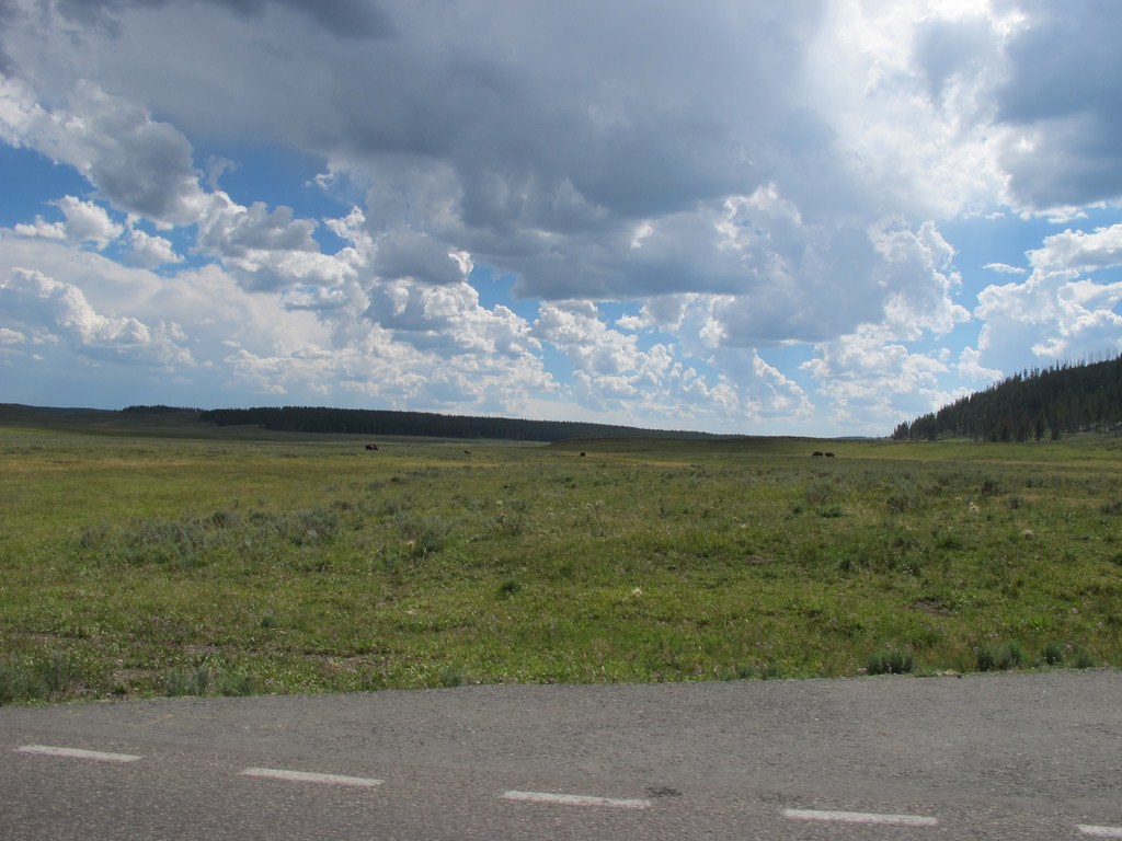 Yellowstone048.jpg