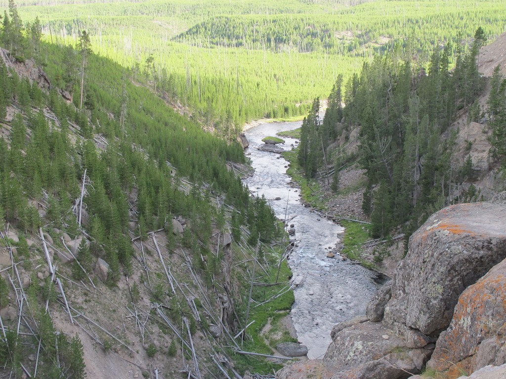 Yellowstone071.jpg