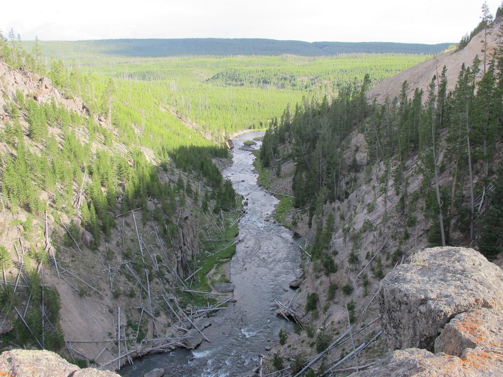 Yellowstone072.jpg