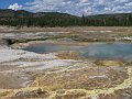 Yellowstone025