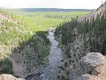 Yellowstone072